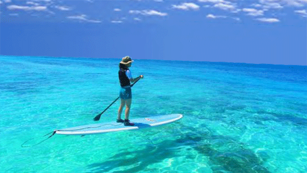 Stand Up Paddling - SUP mieten Stand Up Paddling - SUP